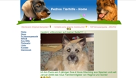 Pedros Tierhilfe