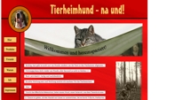 Tierheimhund - na und!